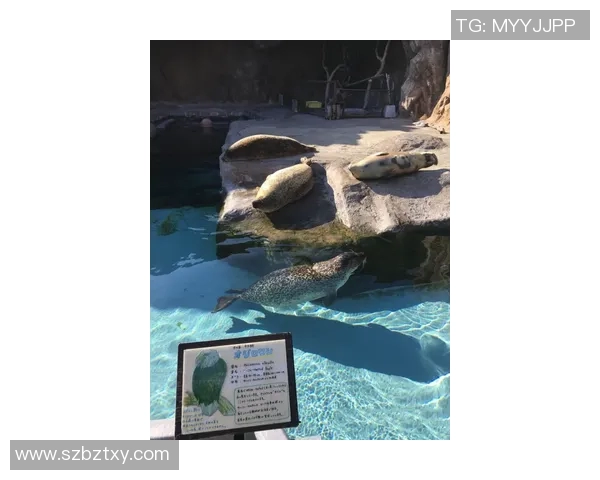 群马温泉与山形山的魅力对比探寻温泉与自然的完美结合 群马温泉与山形山的魅力对比探寻温泉与自然的完美结合