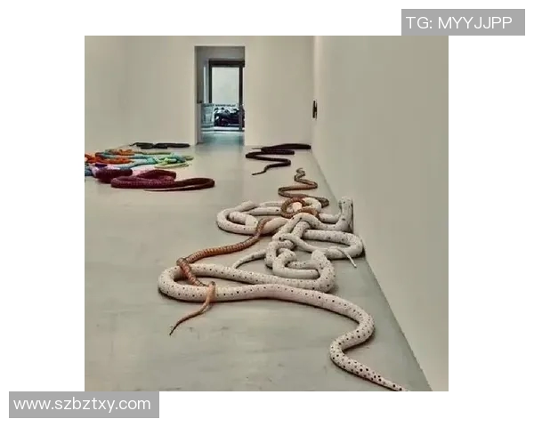 加莱诺的艺术世界探索与创作背后的灵感故事