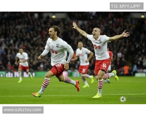 桑德兰与沃特福德对决前瞻分析及比赛结果预测