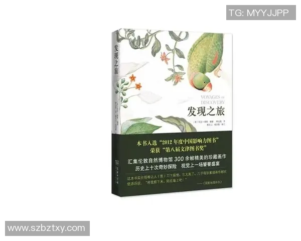 探索斯通斯的神秘历史与文化影响力之旅